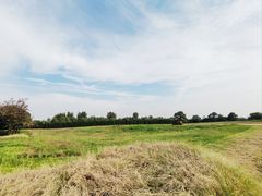 -汉长安城未央宫国家考古遗址公园