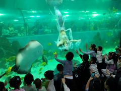 -苏州海洋馆