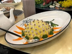 -丁老爷子苏香圆