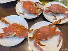 -宾朋海鲜饭庄(兴海路店)