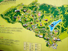 景点-成都大熊猫繁育研究基地