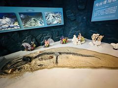 -上海中国航海博物馆