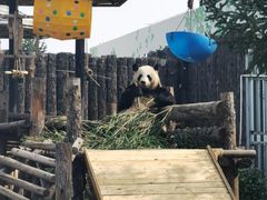 -大青山野生动物园