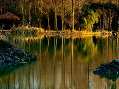 -西溪国家湿地公园