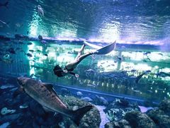 -成都浩海立方海洋公园