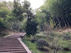 -峙山公园