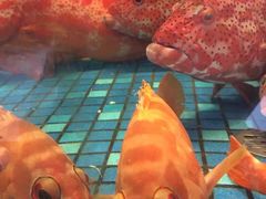 -海都六福酒家(世博广场店)