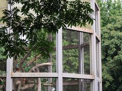 -临平公园(临平街道)