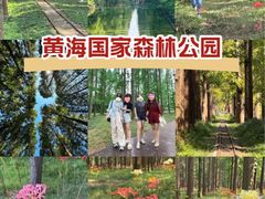 -黄海国家森林公园