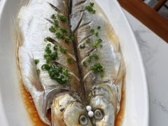 -蟹天蟹地农家菜·阳澄湖大闸蟹(浅水湾店)