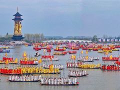 -溱湖国家湿地公园