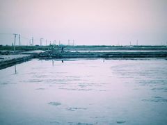 -莺歌海盐场