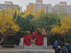 -莲湖公园
