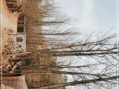 -蟠龙山长城景区