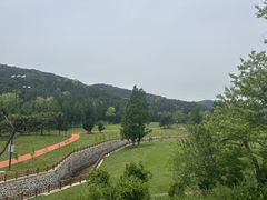 -棒棰岛宾馆景区