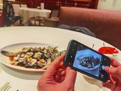 古法蒸老虎斑-利苑酒家(金宝店)