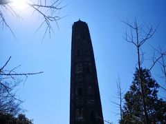 -上海佘山国家森林公园天马山园