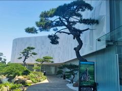 -罗红摄影艺术馆