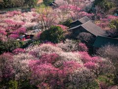 -西溪国家湿地公园