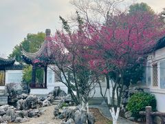 -八大山人梅湖景区