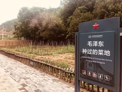 -延安杨家岭革命旧址