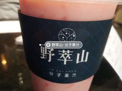 -野萃山·潮汕厚果汁(十亩地店)