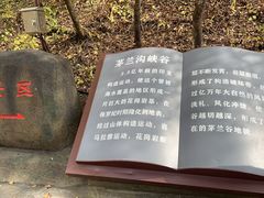 -茅兰沟国家森林公园
