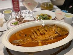 红烧黄河鲤鱼-阿五黄河大鲤鱼(英协路店)