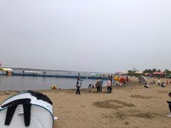 -呼兰河口湿地公园