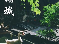 -优之名鹅城