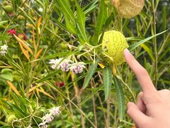 -国家植物园南园