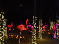 -长春世界雕塑园冰雪艺术天地