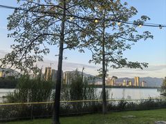 -飞来湖湿地公园