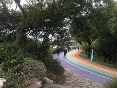 -贡湖湾湿地公园