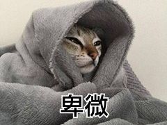 -古乐牛香·鲜牛肉牛杂火锅(新区店)