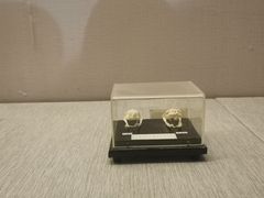 -青藏高原自然博物馆