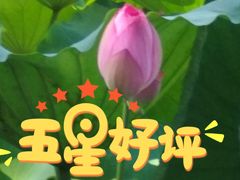 -潘塘公园