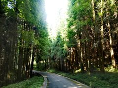 -山王坪喀斯特国家生态公园