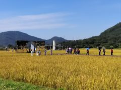 -风云岭森林公园