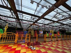 -南宫五洲植物乐园