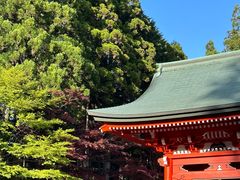 -比叡山