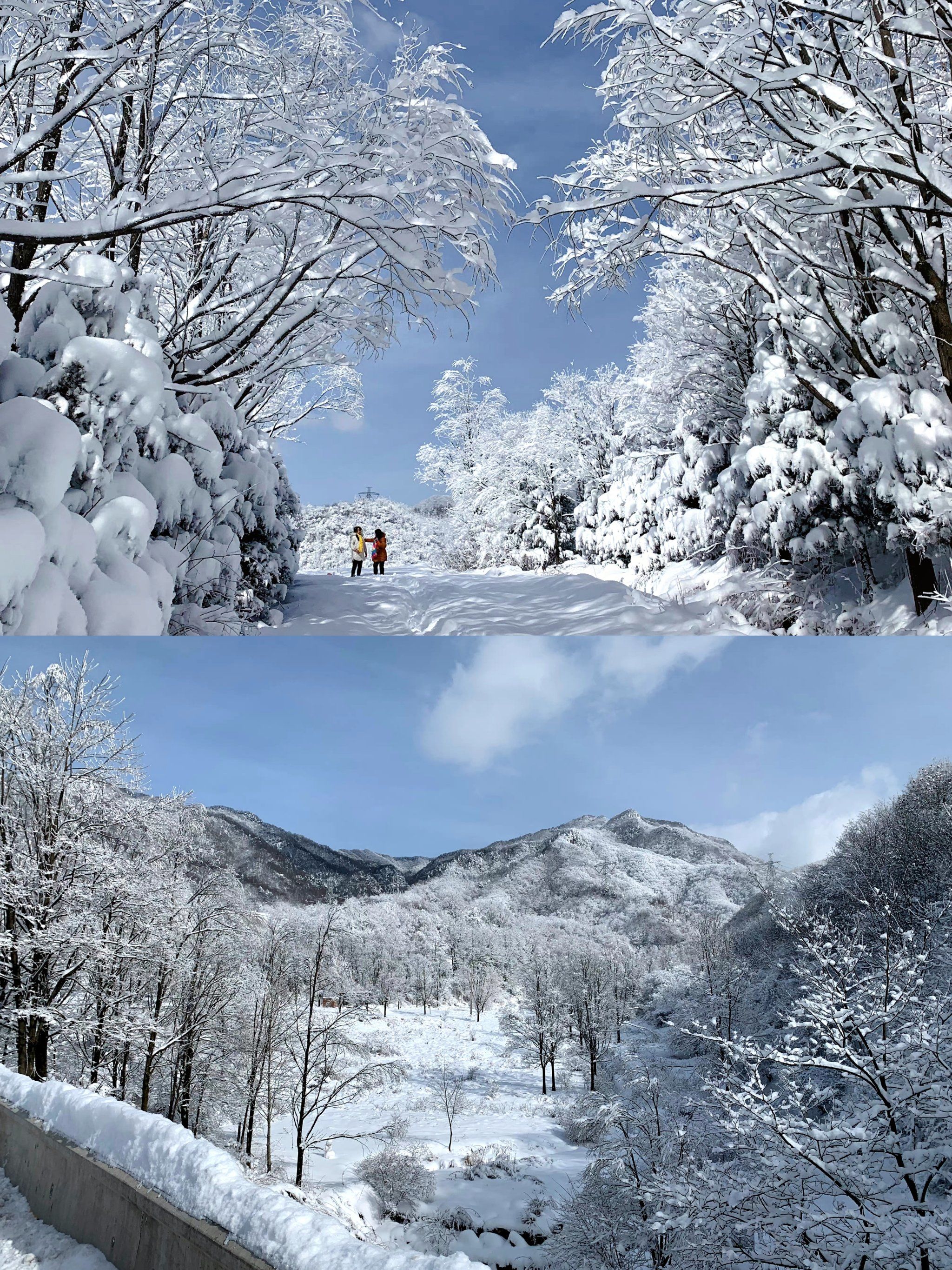 秦岭小火车又来啦,打卡岭南公园冰雪童话世界