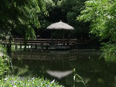-上海滨江森林公园