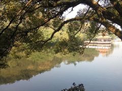 -潮镇老尾牛杂(环城西路店)
