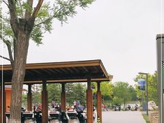 -东郊湿地公园