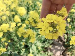 -巴奴毛肚火锅(安阳相州店)