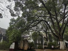 -岳麓山风景名胜区