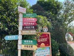 -前小桔亲子创意农场·草莓采摘·露营烧烤