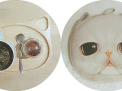 -小时光咖啡馆(开森度假森林店)