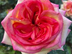 -人民公园(罗湖区)